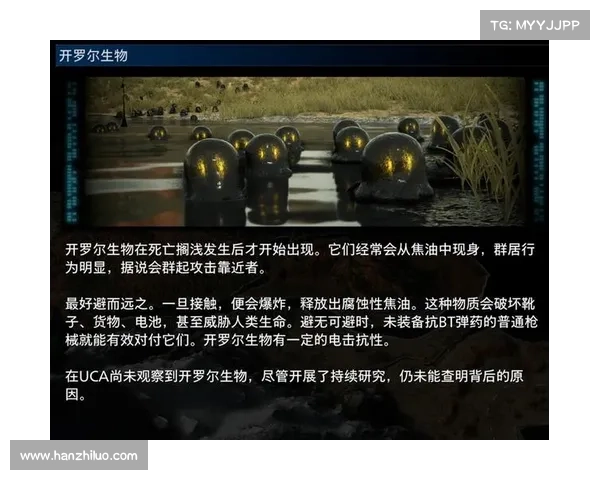 探讨死亡搁浅游戏价值对玩家购买决策的影响因素分析 探讨死亡搁浅游戏价值对玩家购买决策的影响因素分析