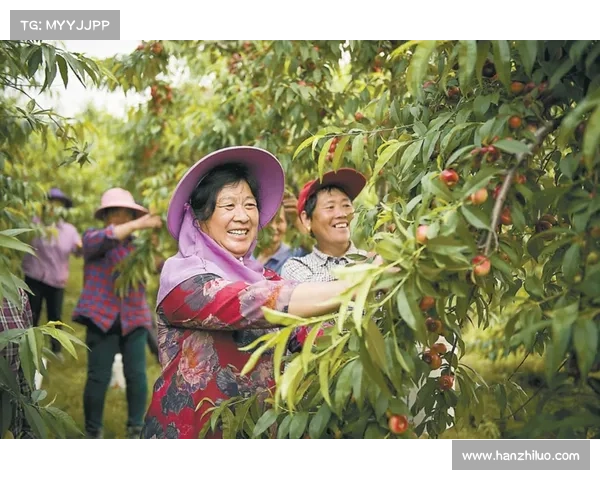 高地红石榴丰收美果的最佳养护方法与技巧解析 高地红石榴丰收美果的最佳养护方法与技巧解析