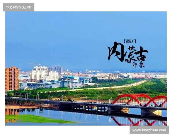 全面揭示加的夫城历年主要参赛联赛体系发展全景深度解读全貌探秘